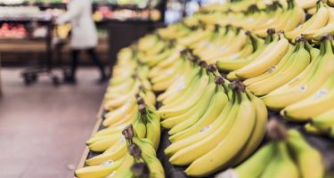 Alcampo mejora en beneficios