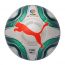 Puma balones