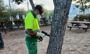 tratamiento procesionaria
